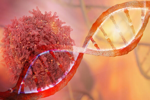Study sheds light on how inherited cancer mutations drive tumor growth